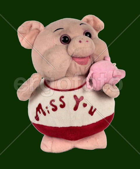 Свин Фунтик