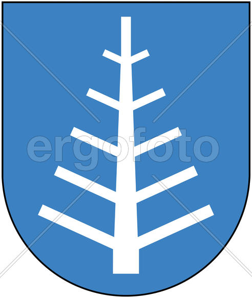 Герб города Василевичи (Vasilevihi).Республика Беларусь