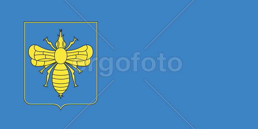 Флаг города Климовичи (Klimovichi). Республика Беларусь