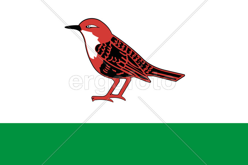 Флаг города Бирск (Birsk). Башкортостан