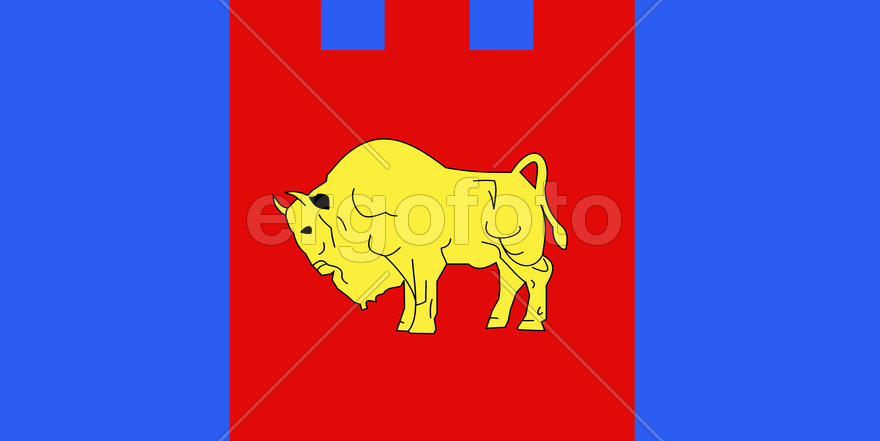 Флаг Брестской области (Brest Oblast). Беларусь