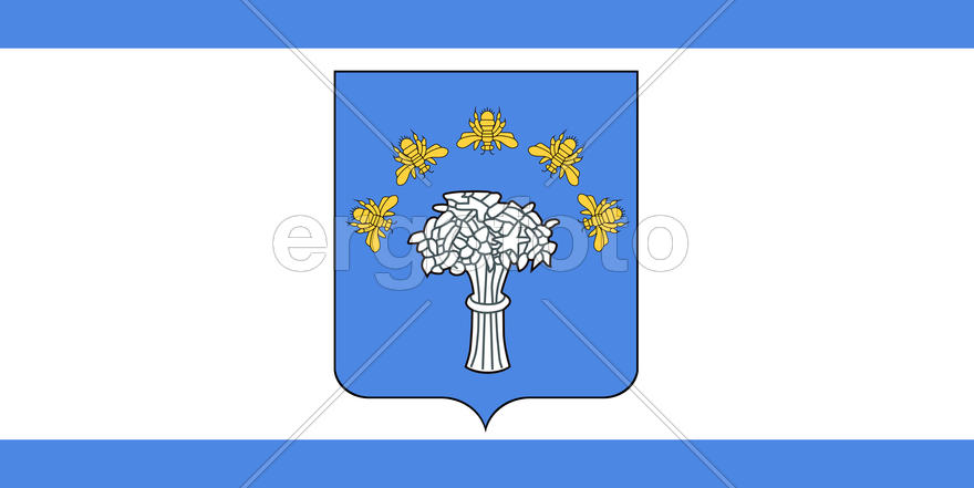 Флаг города Червень (Cherven). Беларусь