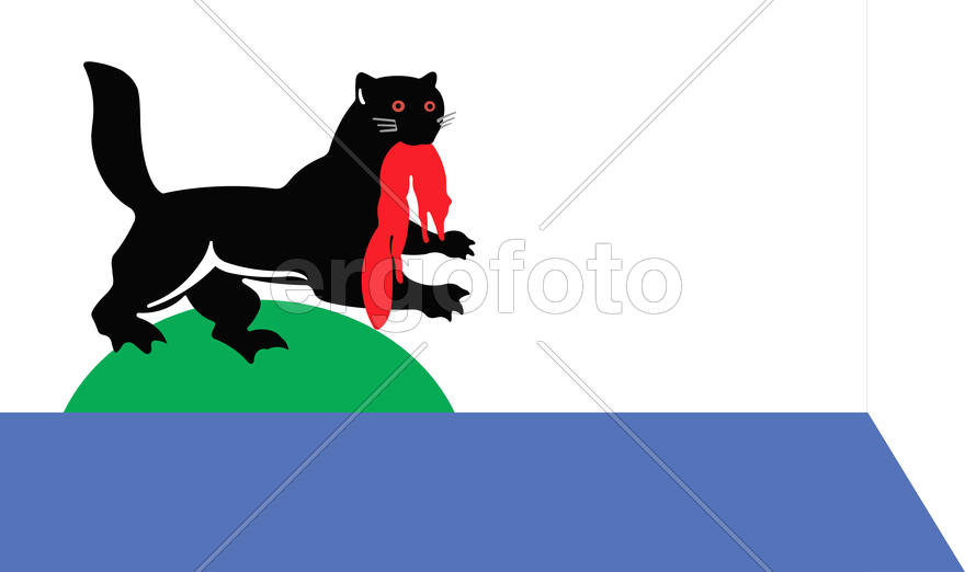 Флаг города Иркутска (Irkutsk)