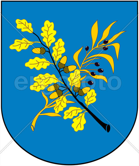 Герб города Дзержинска (Dzerzhinsk). Республика Беларусь