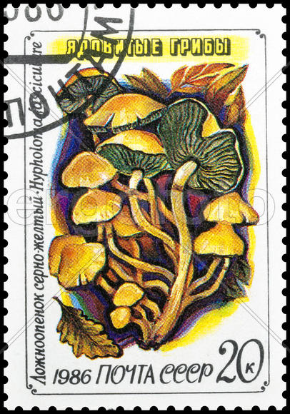Почтовая марка СССР . Ядовитые грибы