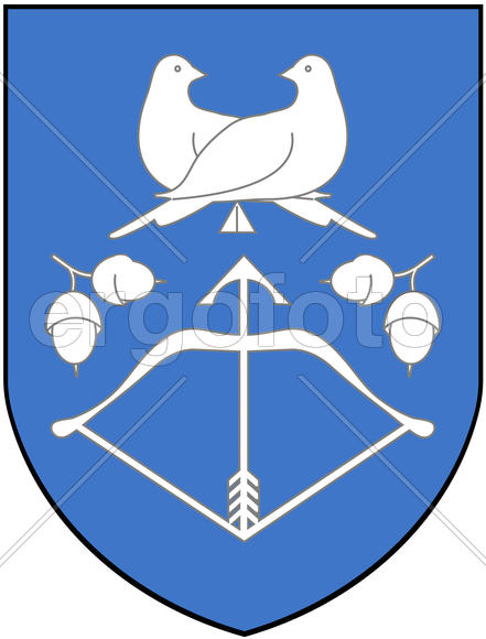 Герб города Дрогичина (Drogichin). Беларусь