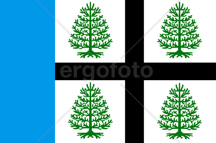 Флаг городского поселка Судиславль (Sudislavl). Костромская область