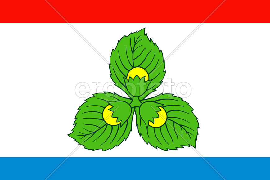 Флаг города Краснознаменск (Krasnoznamensk). Калининградской области