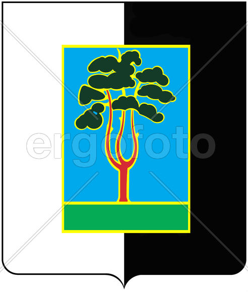 Герб города Черноголовка. Московская область