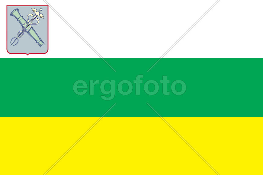 Флаг города Новозыбков (Novozybkov). Брянская область