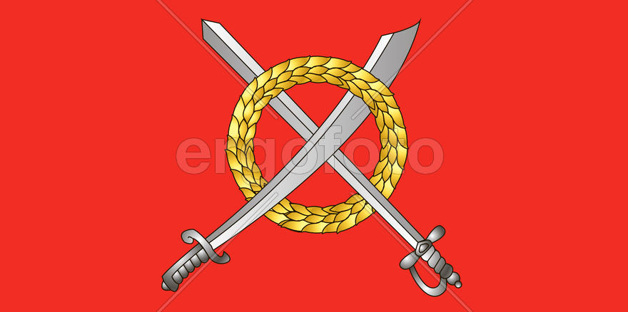 Флаг города Чаусы (Chausy). Беларусь