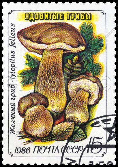 Почтовая марка СССР . Ядовитые грибы