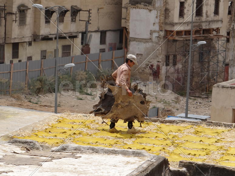 Сушка кожи в Кожаных дубильнях и красильнях Шуара. Фес. Марокко