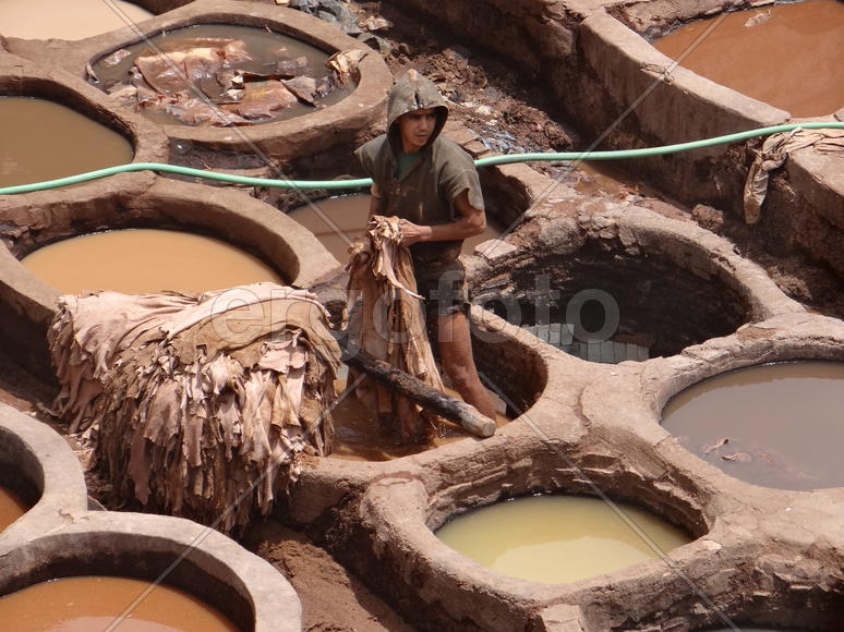 Обработка кожи в чанах в кожаных дубильнях и красильнях Шуара. Фес. Марокко.