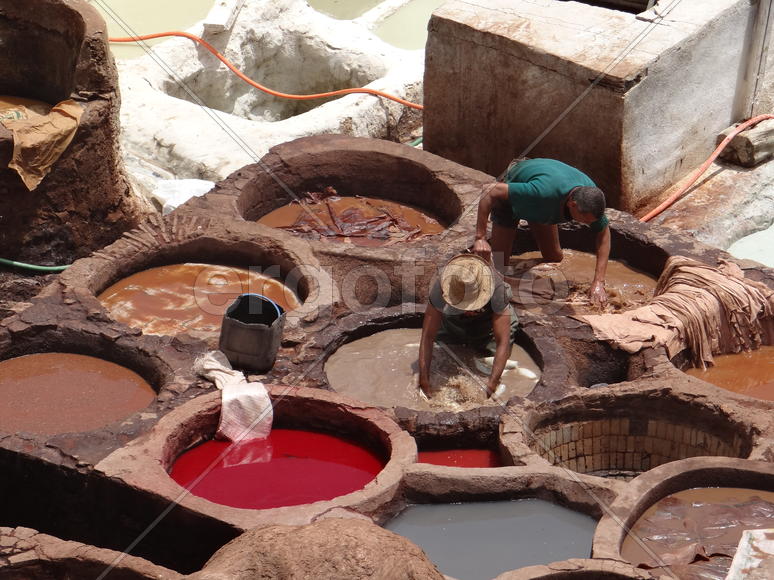 Окраска кожи в чанах в кожаных дубильнях и красильнях Шуара. Фес. Марокко.