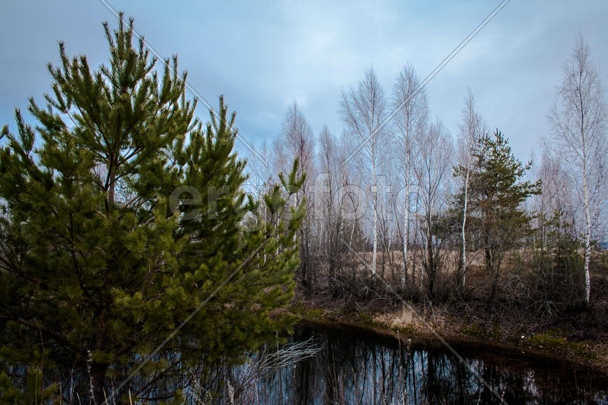 Осень в лесу 