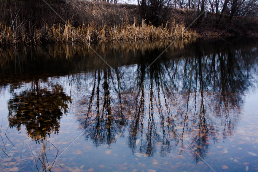 Отражение в пруду 