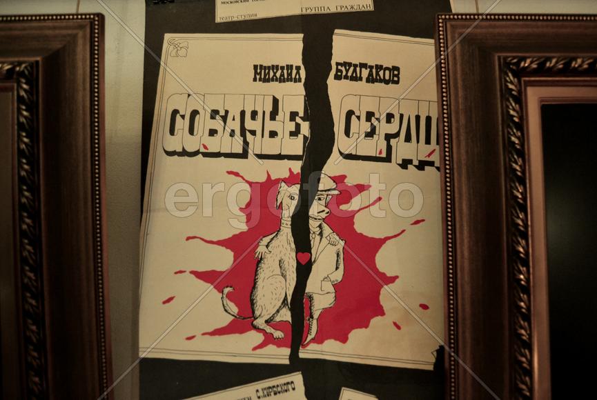 Собачье сердце