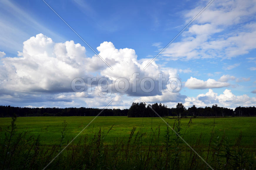 Поле и облака