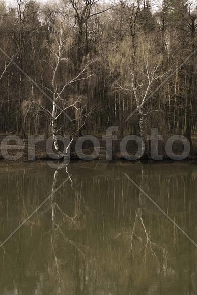 Весенняя природа 