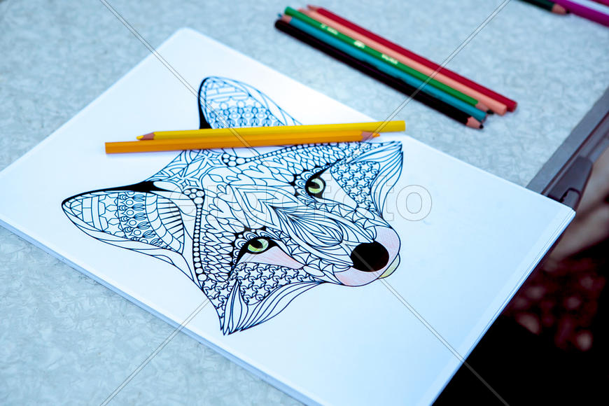 Рисование карандашом 