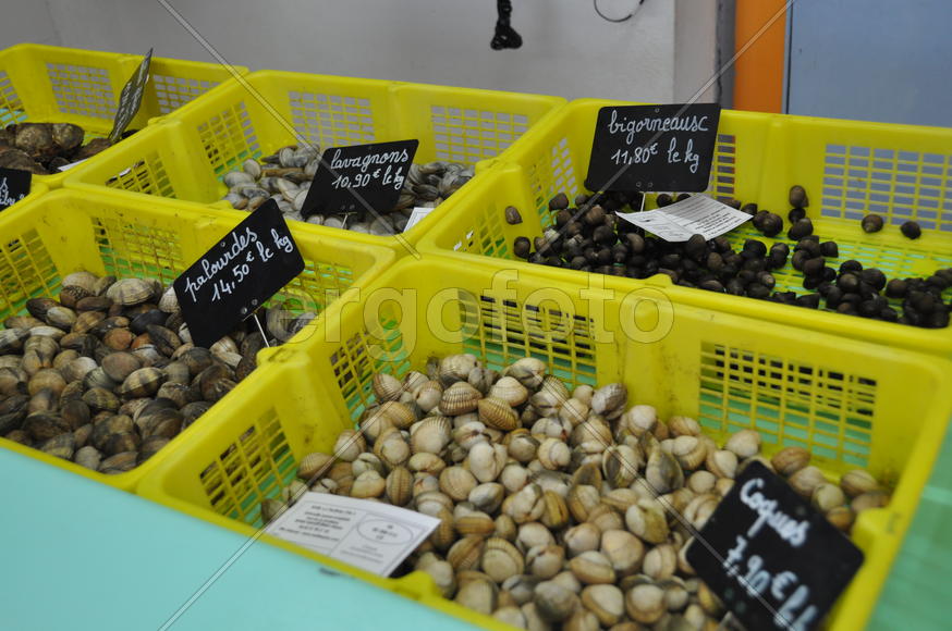 Улитки в магазине