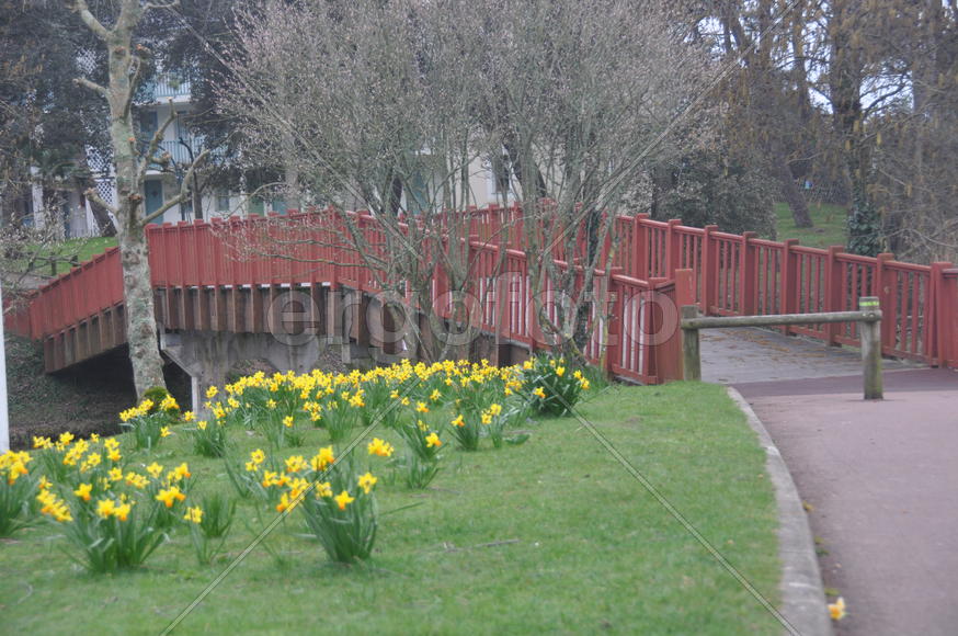 Красный мост