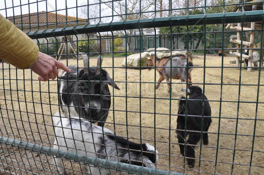 Париж, Вандея