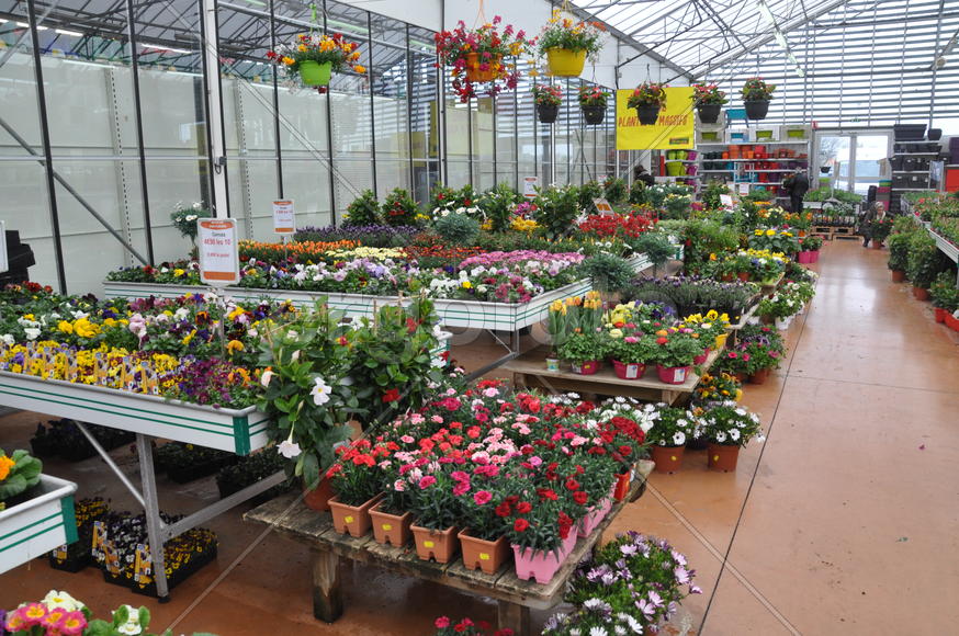 Париж, Вандея