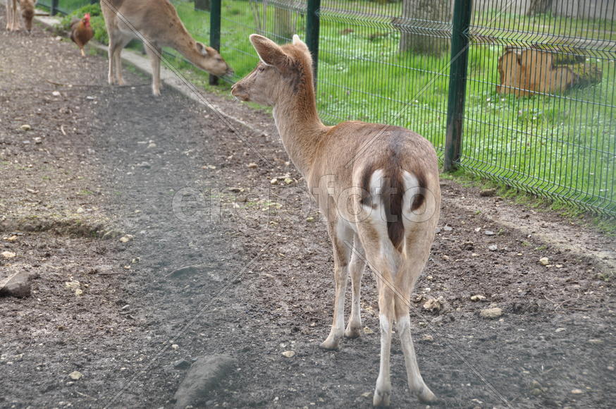 Париж, Вандея