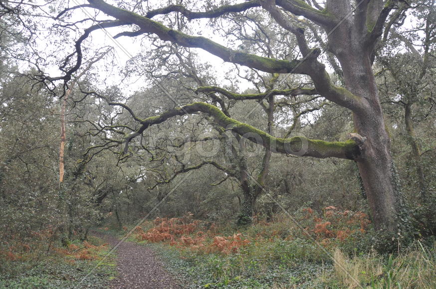 Париж, Вандея