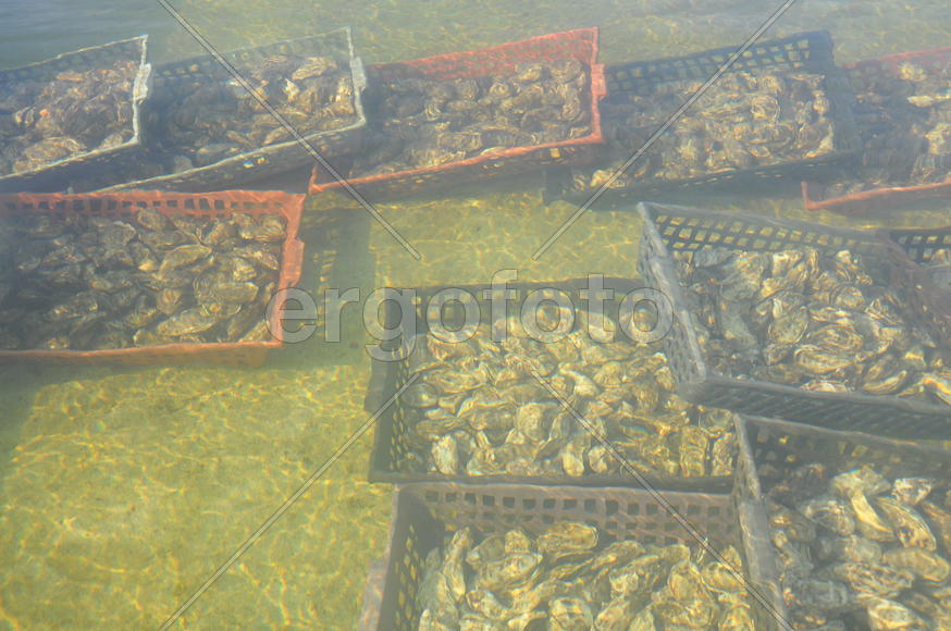 Париж, Вандея