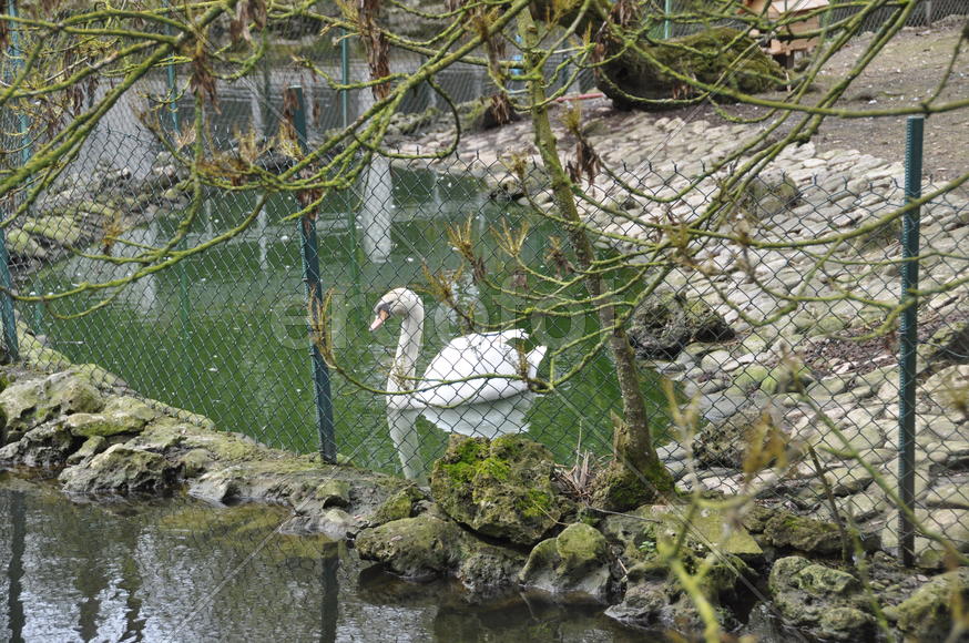 Париж, Вандея