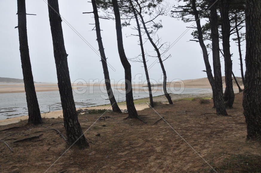 Париж, Вандея