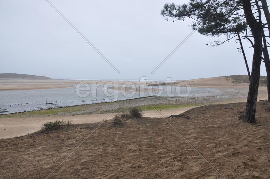 Париж, Вандея