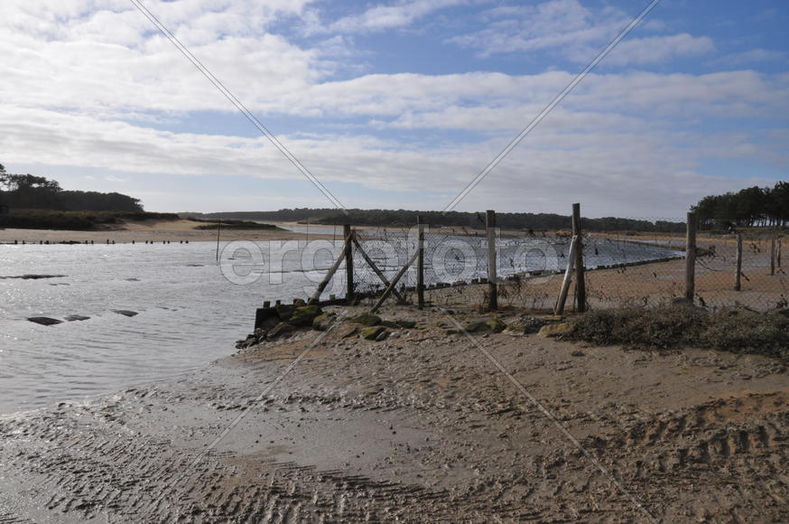 Париж, Вандея