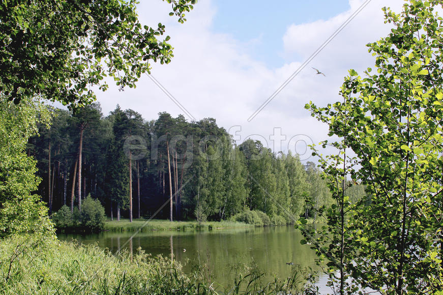 Тихая речка