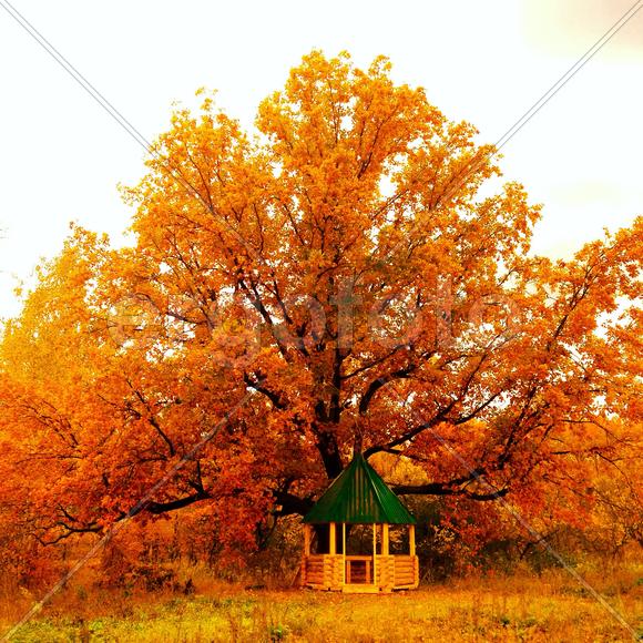 Осень в Мордовии