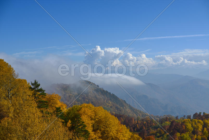 Пейзаж с холмами