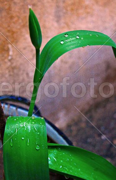 Весенние зарисовки