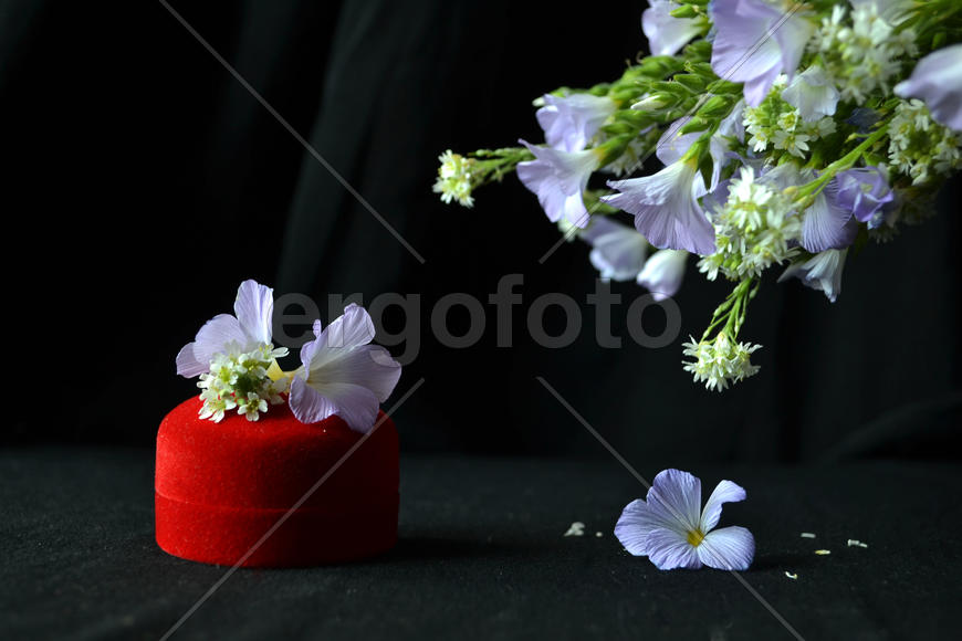 Коробочка для драгоценностей с цветком, на черном фоне 