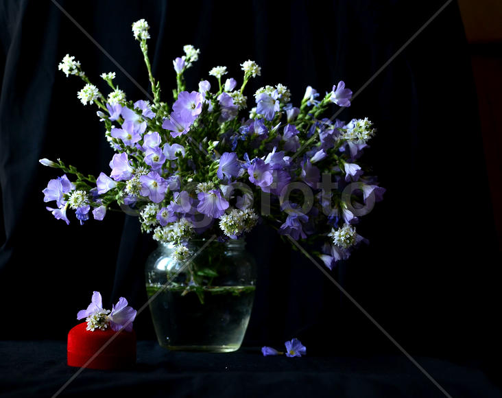 Букет голубых цветов в прозрачном графине 