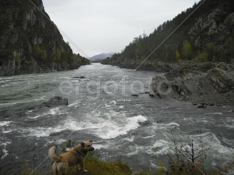 Гид по Чемалу