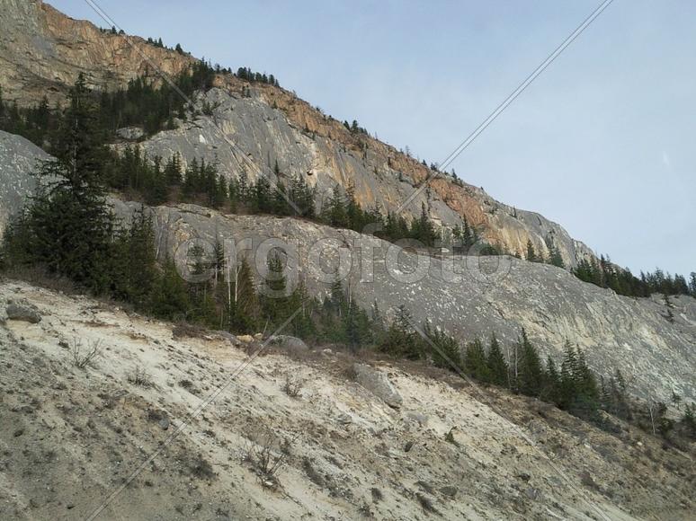 Алтайские горы