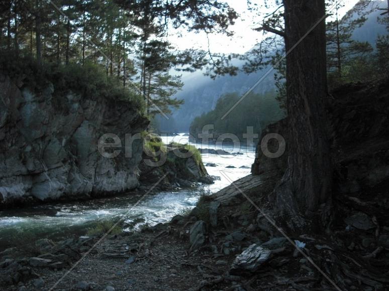 Река Чемал впадает в Катунь