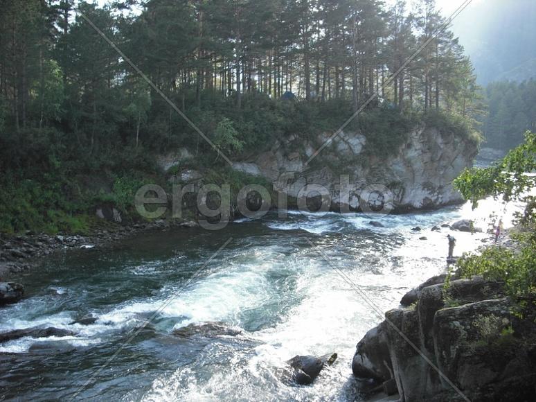 Чемал стремится в Катунь