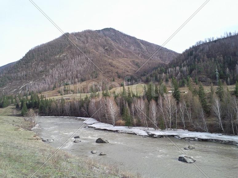 Алтайские горы