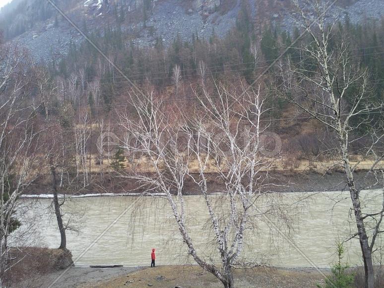 Человек и природа