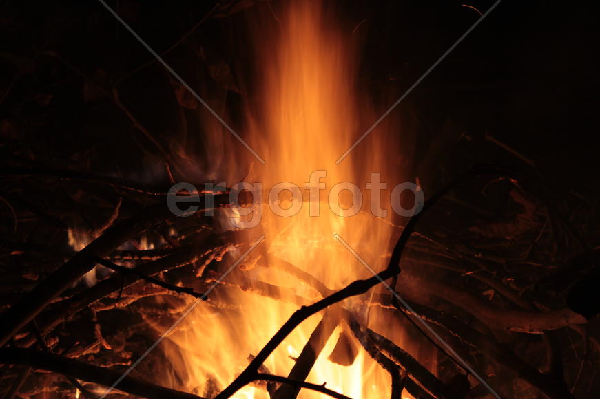 Завораживающее пламя костра