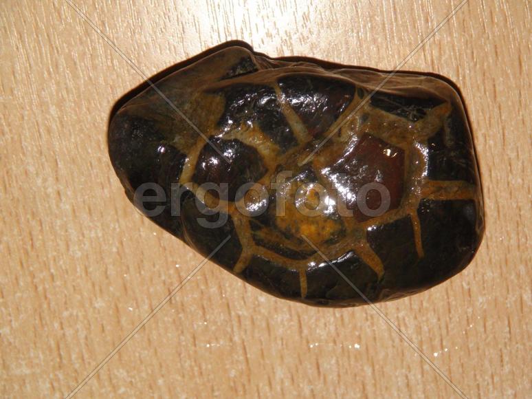 Необычный камень со следами древней обработки